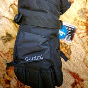 Gordini winter gloves